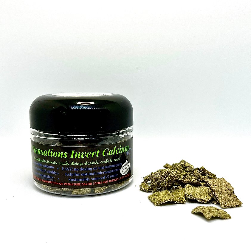 Salty Sensations Invert Calcium