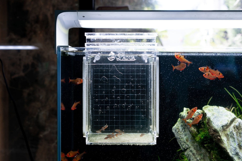 breeding box for fish SL- Aqua Isolation Breeder Box