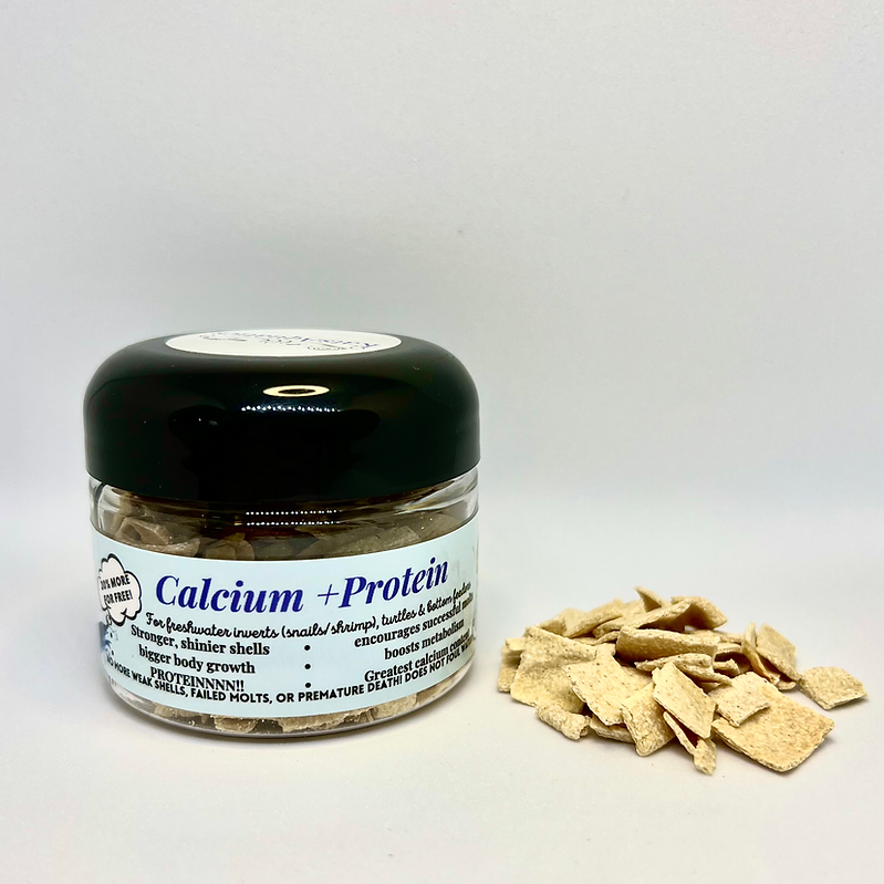 Calcium + Protein
